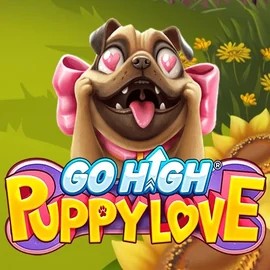Go High Puppy Love logo by RubyPlay Incognito Casino
